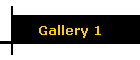 Gallery 1