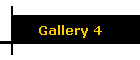 Gallery 4