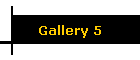 Gallery 5